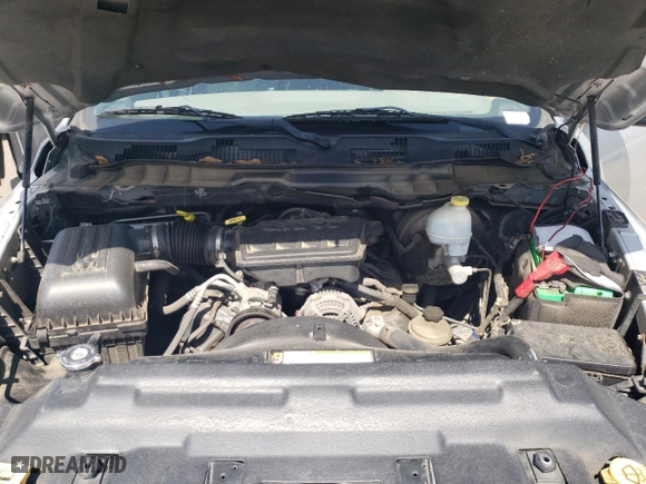 2010 Dodge Ram 1500 ST with VIN 1D7RV1GP0AS219313, listed as a Copart auction lot 64965544 with 189,262 mi miles and Salvage Title. Bid and sale history available at carsss.com. Image 11.