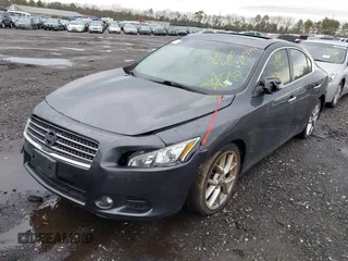 2010 Nissan Maxima 3.5 SV with VIN 1N4AA5AP2AC813162, listed as a IAAI auction lot 41966140 with Not Provided miles. Bid and sale history available at carsss.com. Image 2.