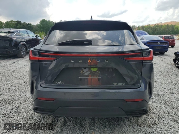 2025 Lexus NX 250 Premium with VIN 2T2GDCAZ6SC018833, listed as a Copart auction lot 54430815 with 13,431 mi miles and Salvage title. Bid and sale history available at DreamBid. Image 6.