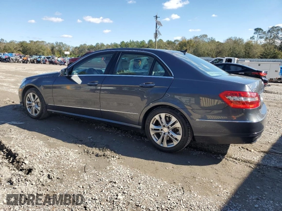 2010 Mercedes-Benz E 550 Luxury with VIN WDDHF7CB4AA213798, listed as a Copart auction lot 81071164 with 287,072 mi miles and Salvage Title. Bid and sale history available at DreamBid. Image 2.