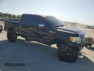 2010 Ford F-150 XL with VIN 1FTFW1EV7AFD74218, listed as a Copart auction lot 61984735 with 173,577 mi miles and Salvage title. Bid and sale history available at DreamBid. Image 4.
