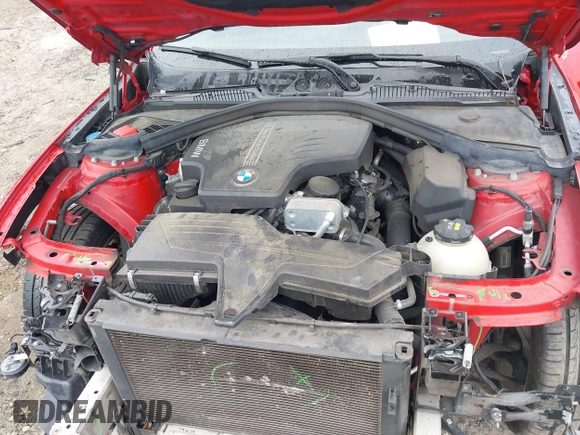 2016 BMW 2 Series 228i with VIN WBA1F9C54GV742703, listed as a IAAI auction lot 42209964 with 114,330 mi miles and . Bid and sale history available at DreamBid. Image 10.