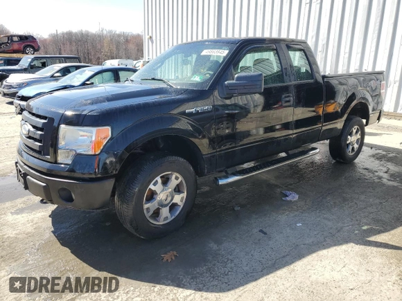 2009 Ford F-150 STX with VIN 1FTRX14899KC91625, listed as a Copart auction lot 49863945 with 203,946 mi miles and Salvage Title. Bid and sale history available at DreamBid. Image 1.