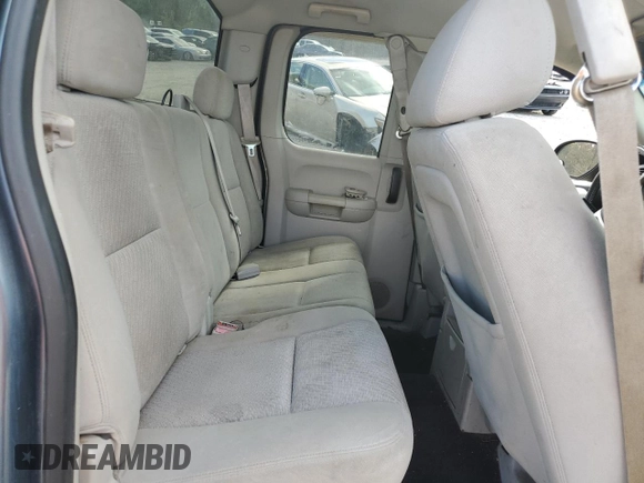2010 Chevrolet Silverado 1500 LT with VIN 1GCSCSE01AZ234195, listed as a Copart auction lot 78707474 with 285,271 mi miles and Salvage Title. Bid and sale history available at DreamBid. Image 10.