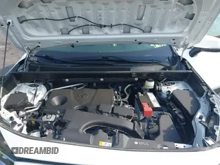 2019 Toyota RAV4 XLE Premium with VIN JTMA1RFV9KD013771, listed as a IAAI auction lot 42055558 with 36,585 mi miles. Bid and sale history available at carsss.com. Image 10.