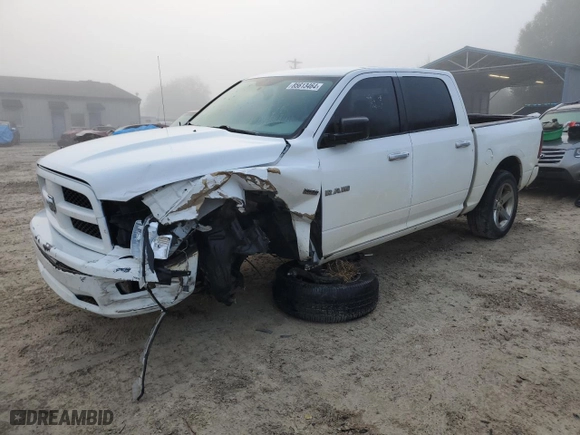 2010 Dodge Ram 1500 Sport with VIN 1D7RV1CT7AS154902, listed as a Copart auction lot 85613464 with 282,704 mi miles and Salvage Title. Bid and sale history available at carsss.com. Image 1.