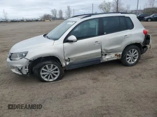 2013 Volkswagen Tiguan S with VIN WVGJV3AX0DW561431, listed as a Copart auction lot 55918795 with 246,907 mi miles and Salvage title. Bid and sale history available at DreamBid. Image 1.