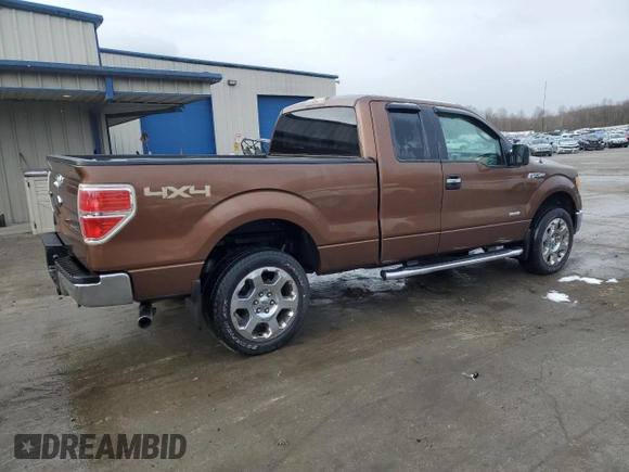 2011 Ford F-150 XL with VIN 1FTFX1ET7BKE14723, listed as a Copart auction lot 50583885 with 118,935 mi miles and Salvage Title. Bid and sale history available at DreamBid. Image 3.