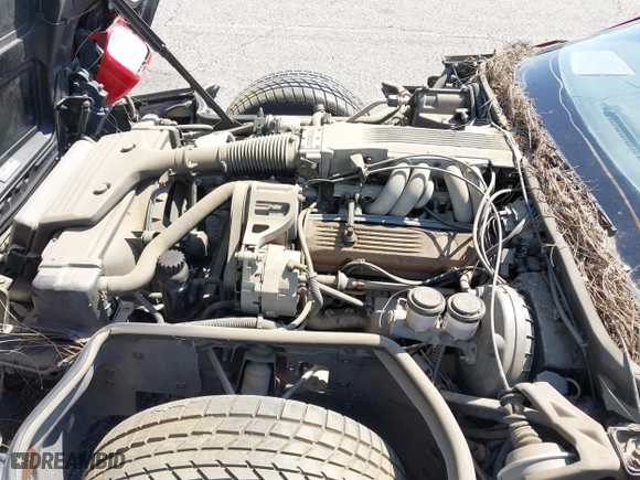 1985 Chevrolet Corvette with VIN 1G1YY0789F5103932, listed as a IAAI auction lot 42004684 with 116,413 mi miles. Bid and sale history available at carsss.com. Image 10.