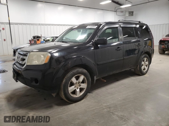 2009 Honda Pilot EX-L with VIN 5FNYF48589B017507, listed as a Copart auction lot 51103955 with 194,116 mi miles and Clean Title. Bid and sale history available at carsss.com. Image 1.