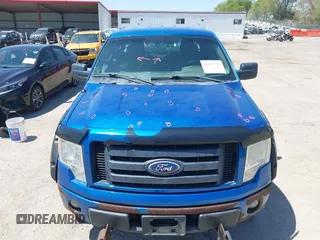 2010 Ford F-150 XL z VIN 1FTEX1EW9AKC34275, wystawiony jako IAAI lot #42183779 z przebiegiem 261 624 mil mil oraz . Historia ofert i sprzedaży dostępna na DreamBid. Obrazek 6.