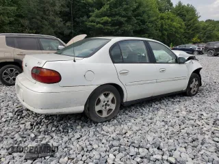 2005 Chevrolet Classic with VIN 1G1ND52F95M231691, listed as a Copart auction lot 43047863 with 0 mi miles and Salvage Title. Bid and sale history available at carsss.com. Image 3.