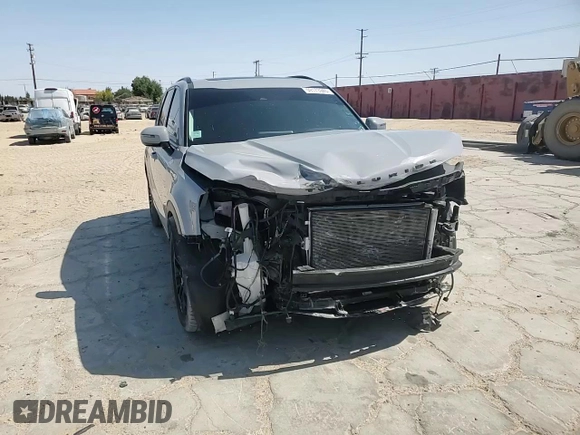 2021 Kia Telluride SX with VIN 5XYP5DHC3MG156572, listed as a Copart auction lot 59173945 with 45,089 mi miles and Salvage title. Bid and sale history available at DreamBid. Image 14.