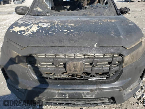 2024 Honda Ridgeline Black Edition with VIN 5FPYK3F84RB023458, listed as a Copart auction lot 50811185 with Not provided miles and Non repairable. Bid and sale history available at DreamBid. Image 11.