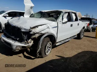2009 Ford F-150 XL with VIN 1FTPW14V19FA66429, listed as a Copart auction lot 46923705 with 157,630 mi miles and Non Repairable. Bid and sale history available at DreamBid. Image 1.