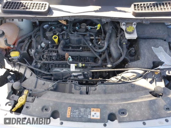2019 Ford Escape SE with VIN 1FMCU9GD6KUA69877, listed as a IAAI auction lot 41826062 with 41,083 mi miles. Bid and sale history available at carsss.com. Image 10.