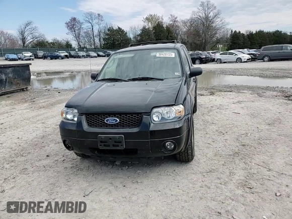 2006 Ford Escape Limited with VIN 1FMCU04196KA18798, listed as a Copart auction lot 50420725 with 113,425 mi miles and Clean title. Bid and sale history available at DreamBid. Image 11.