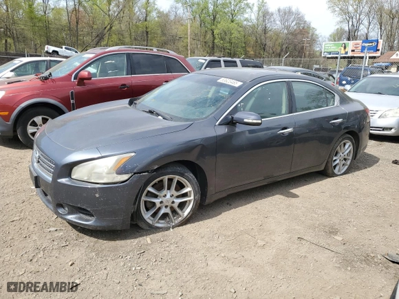2010 Nissan Maxima 3.5 SV w/Sport Pkg with VIN 1N4AA5APXAC817024, listed as a Copart auction lot 53623465 with 0 mi miles and Salvage Title. Bid and sale history available at carsss.com. Image 1.