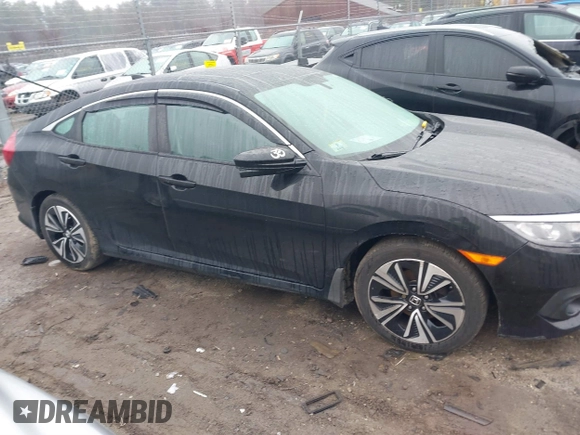 2017 Honda Civic Sedan EX-L with VIN 19XFC1F71HE213764, listed as a IAAI auction lot 41843279 with 49,748 mi miles. Bid and sale history available at carsss.com. Image 13.