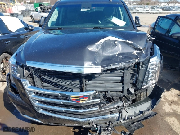 2019 Cadillac Escalade Premium Luxury with VIN 1GYS4CKJ1KR407662, listed as a IAAI auction lot 41519495 with 101,892 mi miles. Bid and sale history available at carsss.com. Image 12.
