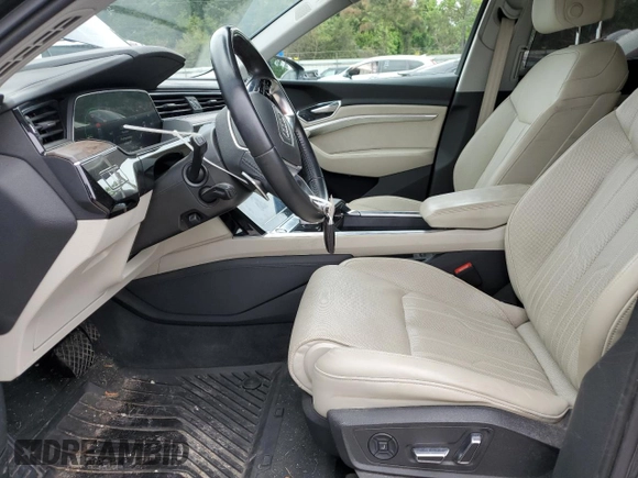 2019 Audi e-tron Prestige with VIN WA1VAAGEXKB010434, listed as a Copart auction lot 57765595 with 94,114 mi miles and Salvage title. Bid and sale history available at DreamBid. Image 8.