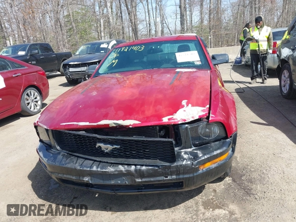 2005 Ford Mustang Deluxe with VIN 1ZVFT80NX55119984, listed as a IAAI auction lot 41921403 with 243,278 mi miles and . Bid and sale history available at DreamBid. Image 12.