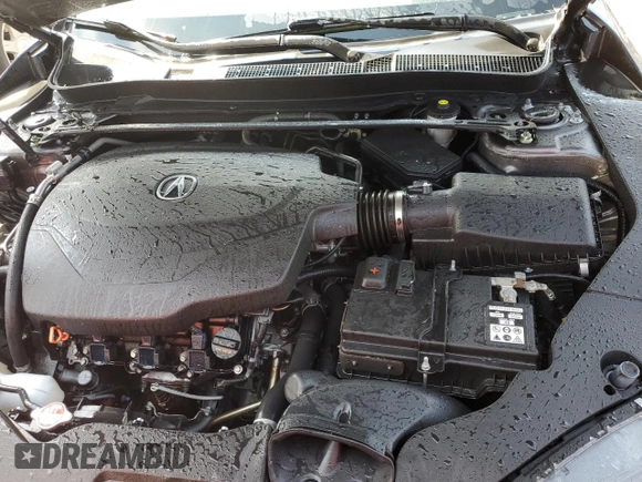 2020 Acura TLX w/A-Spec Pkg with VIN 19UUB3F69LA001401, listed as a Copart auction lot 74666004 with 0 mi miles and Salvage Title. Bid and sale history available at carsss.com. Image 11.