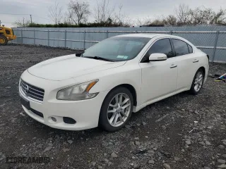 2009 Nissan Maxima 3.5 SV w/Sport Pkg with VIN 1N4AA51E89C842983, listed as a Copart auction lot 51309885 with 80,844 mi miles and Salvage Title. Bid and sale history available at carsss.com. Image 1.