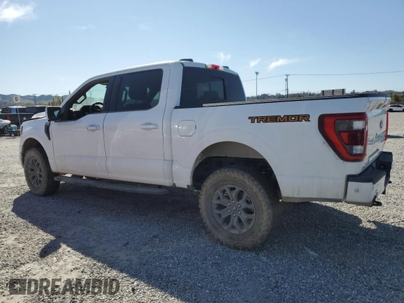 2022 Ford F-150 XL with VIN 1FTEW1E87NFA71998, listed as a Copart auction lot 49880045 with 0 mi miles and Salvage Title. Bid and sale history available at carsss.com. Image 2.