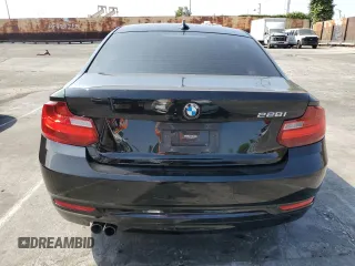 2016 BMW 2 Series 228i with VIN WBA1F9C56GV544978, listed as a Copart auction lot 53974395 with 49,508 mi miles and Salvage title. Bid and sale history available at DreamBid. Image 6.