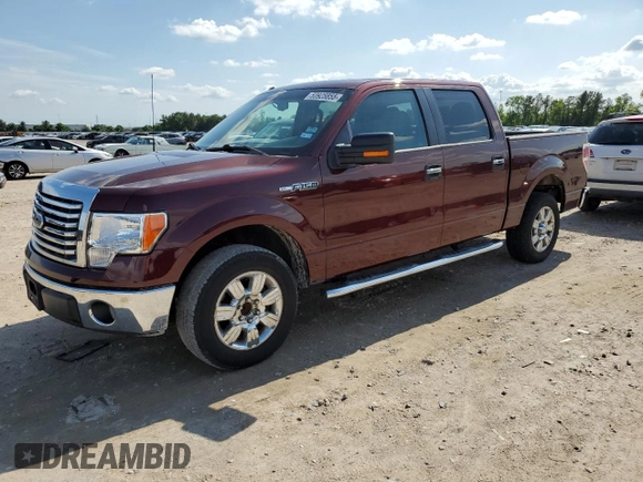 2010 Ford F-150 XL with VIN 1FTEW1C87AFD03660, listed as a Copart auction lot 53925855 with 252,174 mi miles and Clean Title. Bid and sale history available at DreamBid. Image 1.