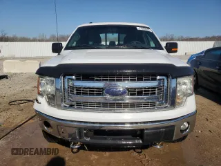 2013 Ford F-150 XL with VIN 1FTFW1EF0DFA71889, listed as a Copart auction lot 47989605 with 282,091 mi miles and Salvage Title. Bid and sale history available at carsss.com. Image 5.