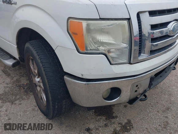 2009 Ford F-150 XL with VIN 1FTPW14V89FB30515, listed as a IAAI auction lot 41210636 with 220,187 mi miles. Bid and sale history available at carsss.com. Image 6.