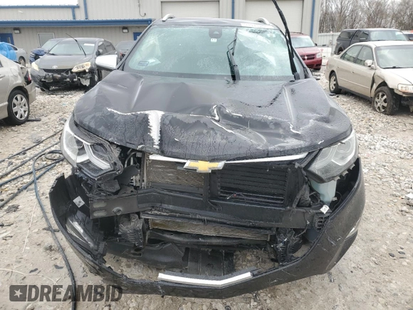2019 Chevrolet Equinox Premier with VIN 3GNAXXEVXKL188617, listed as a Copart auction lot 51913295 with Not Provided miles and Clean Title. Bid and sale history available at DreamBid. Image 5.