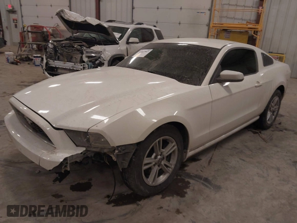 2013 Ford Mustang V6 with VIN 1ZVBP8AM0D5281131, listed as a IAAI auction lot 41447563 with 119,820 mi miles. Bid and sale history available at carsss.com. Image 2.