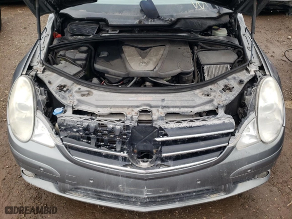 2010 Mercedes-Benz R-Class R 350 BlueTEC with VIN 4JGCB2FE6AA106188, listed as a Copart auction lot 81716824 with 0 mi miles and Salvage Title. Bid and sale history available at carsss.com. Image 12.