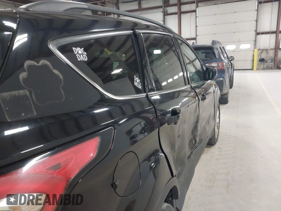 2017 Ford Escape SE with VIN 1FMCU0GD7HUB92091, listed as a IAAI auction lot 41984845 with 192,021 mi miles and . Bid and sale history available at DreamBid. Image 18.