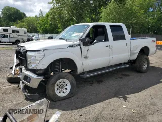 2012 Ford F-250 XL with VIN 1FT7W2BT2CEB30630, listed as a Copart auction lot 57613565 with Not provided miles and Salvage title. Bid and sale history available at DreamBid. Image 1.