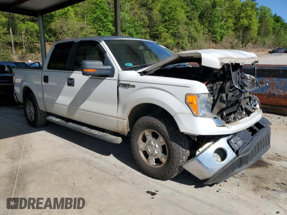 2010 Ford F-150 XL with VIN 1FTEW1C80AFA70138, listed as a Copart auction lot 53135735 with 209,803 mi miles and Salvage Title. Bid and sale history available at carsss.com. Image 4.