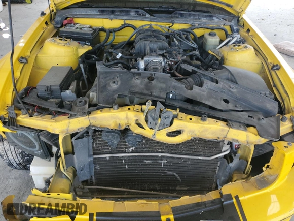 2006 Ford Mustang Standard with VIN 1ZVFT80N365119181, listed as a Copart auction lot 70255784 with 217,521 mi miles and Non Repairable. Bid and sale history available at carsss.com. Image 11.