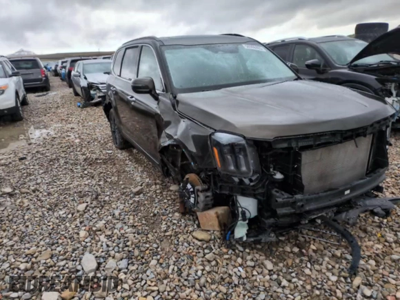 2023 Kia Telluride SX X-Line with VIN 5XYP5DGC8PG333753, listed as a Copart auction lot 50998465 with 13,522 mi miles and Salvage title. Bid and sale history available at DreamBid. Image 14.