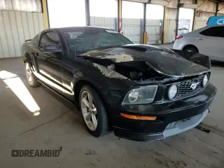 2007 Ford Mustang GT Deluxe with VIN 1ZVHT82H175269324, listed as a Copart auction lot 53124235 with Not Provided miles and Salvage Title. Bid and sale history available at carsss.com. Image 11.