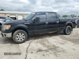 2009 Ford F-150 XL with VIN 1FTPW14V39FB07868, listed as a Copart auction lot 55608595 with 114,528 mi miles and Clean Title. Bid and sale history available at carsss.com. Image 1.