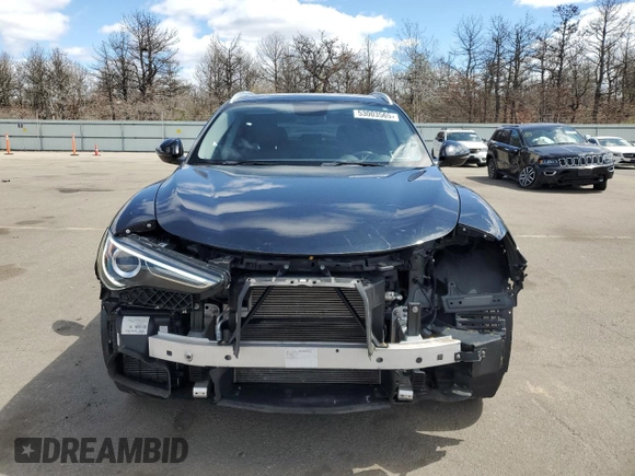 2019 Alfa Romeo Stelvio Ti with VIN ZASPAKBN1K7C67083, listed as a Copart auction lot 53003565 with 65,140 mi miles and Salvage title. Bid and sale history available at DreamBid. Image 5.