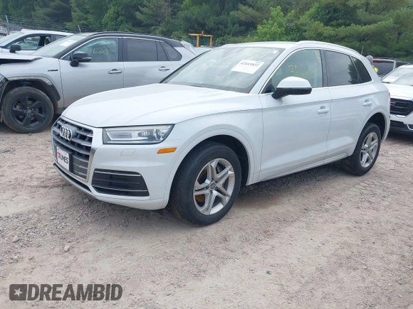 2019 Audi Q5 Premium with VIN WA1ANAFY1K2112834, listed as a IAAI auction lot 42443822 with 98,579 mi miles and . Bid and sale history available at DreamBid. Image 20.