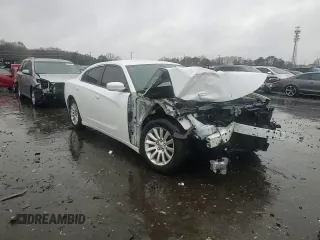 2015 Dodge Charger SE with VIN 2C3CDXBG1FH840253, listed as a Copart auction lot 44341075 with 192,206 mi miles and Salvage Title. Bid and sale history available at carsss.com. Image 10.