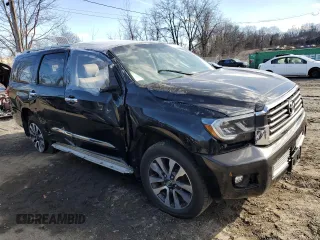 2019 Toyota Sequoia Limited with VIN 5TDJY5G18KS172799, listed as a Copart auction lot 47751605 with 29,122 mi miles and Salvage Title. Bid and sale history available at carsss.com. Image 4.
