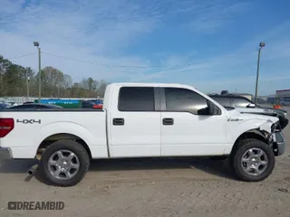 2013 Ford F-150 XL with VIN 1FTFW1EF5DKF15114, listed as a IAAI auction lot 41883457 with 260,600 mi miles. Bid and sale history available at carsss.com. Image 13.