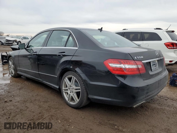 2010 Mercedes-Benz E-Class E 550 Luxury with VIN WDDHF9AB8AA233258, listed as a Copart auction lot 45865695 with 108,748 mi miles and Salvage Title. Bid and sale history available at carsss.com. Image 2.
