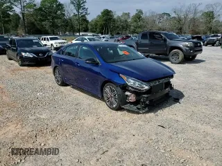 2021 Kia Forte GT with VIN 3KPF44AC3ME318013, listed as a Copart auction lot 45650785 with 24,201 mi miles and Salvage Title. Bid and sale history available at carsss.com. Image 10.